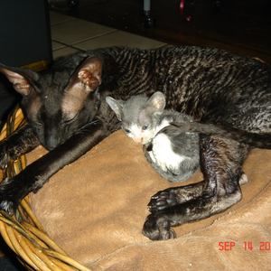 Meet your Posher, Kay